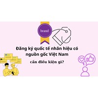 Đăng ký quốc tế nhãn hiệu có nguồn gốc Việt Nam cần điều kiện gì?