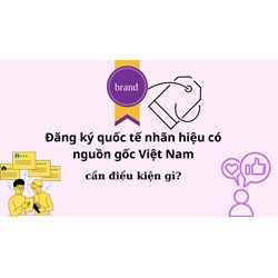 Đăng ký quốc tế nhãn hiệu có nguồn gốc Việt Nam cần điều kiện gì?