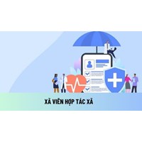 Xã viên hợp tác xã có phải đóng bảo hiểm xã hội bắt buộc không?
