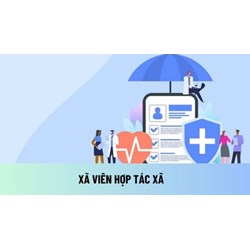 Xã viên hợp tác xã có phải đóng bảo hiểm xã hội bắt buộc không?