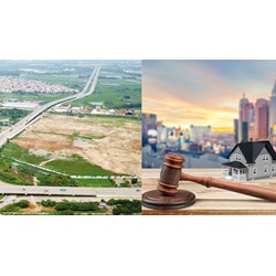 Thời hạn nộp tiền trúng đấu giá quyền sử dụng đất theo quy định