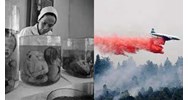 Thời điểm tổ chức đại hội đại biểu Hội Nạn nhân chất độc da cam/dioxin