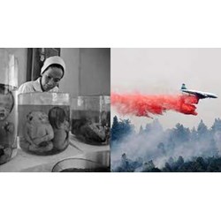Thời điểm tổ chức đại hội đại biểu Hội Nạn nhân chất độc da cam/dioxin