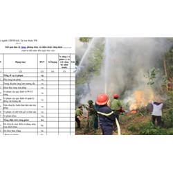 Mẫu báo cáo kết quả bảo vệ rừng, phòng vừa chữa cháy rừng