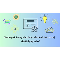 Chương trình máy tính được bảo hộ sở hữu trí tuệ dưới dạng nào?
