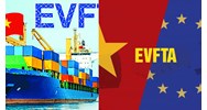 Thời điểm nộp C/O nhập khẩu trong Hiệp định EVFTA là khi nào?