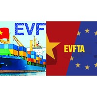 Thời điểm nộp C/O nhập khẩu trong Hiệp định EVFTA là khi nào?