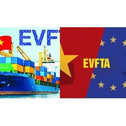 Thời điểm nộp C/O nhập khẩu trong Hiệp định EVFTA là khi nào?