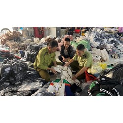 Thẩm quyền ban hành quyết định kiểm tra trong lực lượng Quản lý thị trường