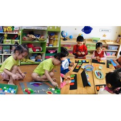Quy trình lựa chọn đồ chơi, học liệu được sử dụng trong cơ sở giáo dục?