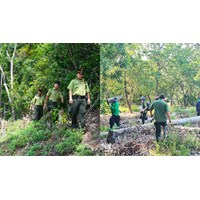 Hồ sơ quản lý rừng của chủ rừng nhóm 1 được xác lập ra sao?