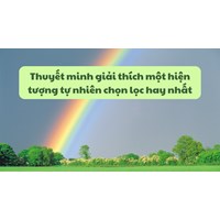 Thuyết minh giải thích một hiện tượng tự nhiên chọn lọc hay nhất