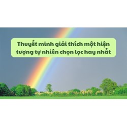 Thuyết minh giải thích một hiện tượng tự nhiên chọn lọc hay nhất