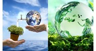 Hoạt động phát triển hệ sinh thái nhằm thúc đẩy kinh doanh bền vững