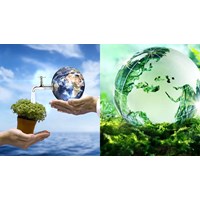 Hoạt động phát triển hệ sinh thái nhằm thúc đẩy kinh doanh bền vững