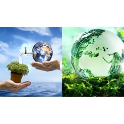 Hoạt động phát triển hệ sinh thái nhằm thúc đẩy kinh doanh bền vững