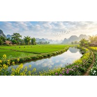 Cảm nhận của em về vẻ đẹp thiên nhiên của một mùa trong năm siêu hay