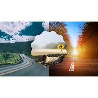 Nghị luận Đã gọi là hi vọng thì không thể nói đâu là thực, đâu là hư