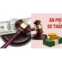 Xử lý khi Tòa phúc thẩm đình chỉ giải quyết thấy án phí sơ thẩm sai