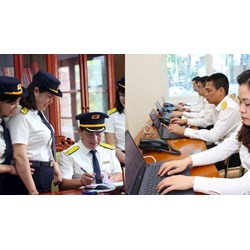 Nhân viên thuế bắt buộc tốt nghiệp đại học khi làm việc tại Tổng cục Thuế