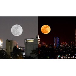 Suy nghĩ về khổ thơ kết thúc bài Ánh trăng siêu hay