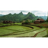 Ban hành bảng giá đất có hệ số điều chỉnh phải sát thực tế