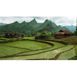Ban hành bảng giá đất có hệ số điều chỉnh phải sát thực tế
