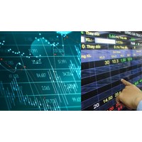 Ai bổ nhiệm, miễn nhiện Tổng giám đốc Tổng công ty Lưu ký và Bù trừ chứng khoán Việt Nam