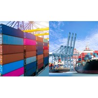 Chuyển giao quyền và ký phát vận đơn trong hợp đồng vận chuyển bằng đường biển