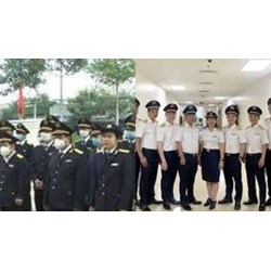 Quy định về quản lý và sử dụng trang phục, thẻ của ngành Thuế