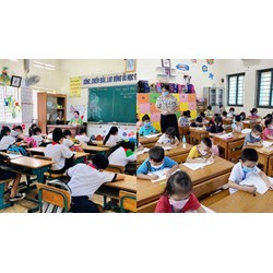 Học sinh tiểu học khác trình độ (lớp) có được phép học cùng lớp?