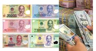 Đồng tiền Việt Nam chỉ được xem là ngoại hối trong trường hợp nào?