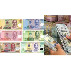 Đồng tiền Việt Nam chỉ được xem là ngoại hối trong trường hợp nào?