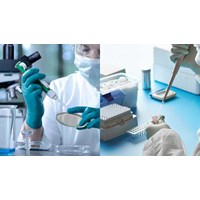 Khi nào thử nghiệm sinh học thiết bị y tế trên động vật hợp lý?