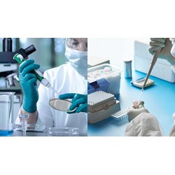 Khi nào thử nghiệm sinh học thiết bị y tế trên động vật hợp lý?