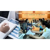 Mức lương của kiểm tra viên thuế tại Vụ Kê khai và Kế toán thuế?