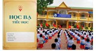 Thời gian lưu trữ học bạ của học sinh tiểu học là bao lâu?