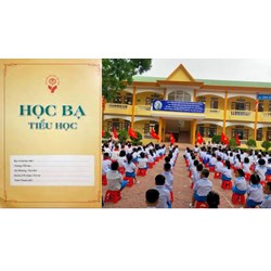 Thời gian lưu trữ học bạ của học sinh tiểu học là bao lâu?