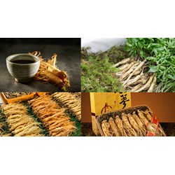 Đăng ký thương hiệu cho sản phẩm hồng sâm thực hiện như thế nào?