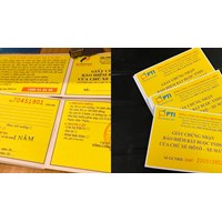 Trường hợp không được bảo hiểm xe máy/ô tô bắt buộc bồi thường