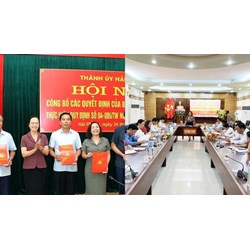 Quy định về tổ chức bộ máy cơ quan tham mưu, giúp việc tỉnh ủy