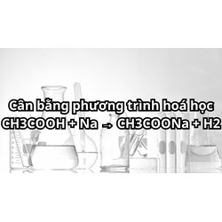 Cân bằng phương trình hoá học CH3COOH + Na → CH3COONa + H2