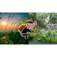 Con người cần ứng xử như thế nào với tài nguyên thiên nhiên và sự sống của muôn loài