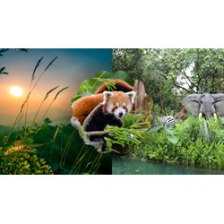 Con người cần ứng xử như thế nào với tài nguyên thiên nhiên và sự sống của muôn loài