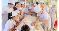 Bộ Y tế yêu cầu dừng đào tạo theo định hướng chuyên khoa