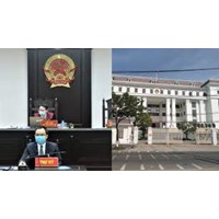 Tòa án cấp huyện phải thành lập Tòa chuyên trách theo quy định?