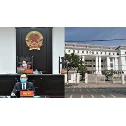Tòa án cấp huyện phải thành lập Tòa chuyên trách theo quy định?