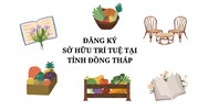 Đăng ký sở hữu trí tuệ tại tỉnh Đồng Tháp thực hiện như thế nào?