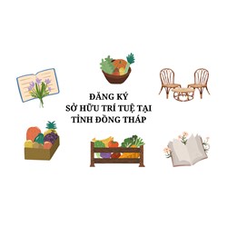 Đăng ký sở hữu trí tuệ tại tỉnh Đồng Tháp thực hiện như thế nào?