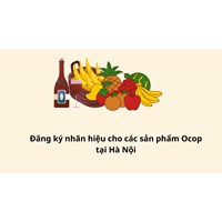 Đăng ký nhãn hiệu cho các sản phẩm OCOP tại Hà Nội như thế nào?